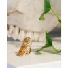 Arizona Ring