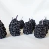 Beeswax Blackberry Birthday Candles - 5 count