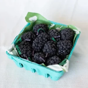 Beeswax Blackberry Birthday Candles - 5 count