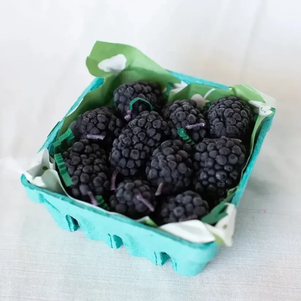 Beeswax Blackberry Birthday Candles - 5 count