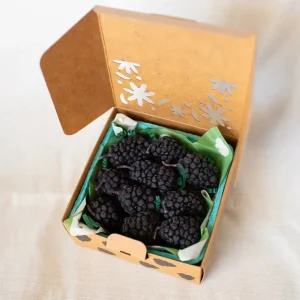 Beeswax Blackberry Birthday Candles - 5 count