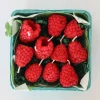 Beeswax Raspberry Birthday - 10 count