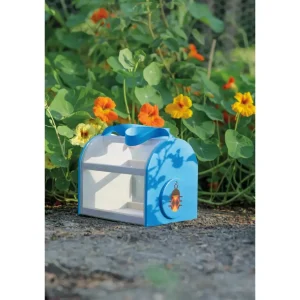 Beetle & Bee Critter Case