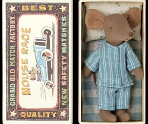 Big Brother Mouse in Box - PJ's