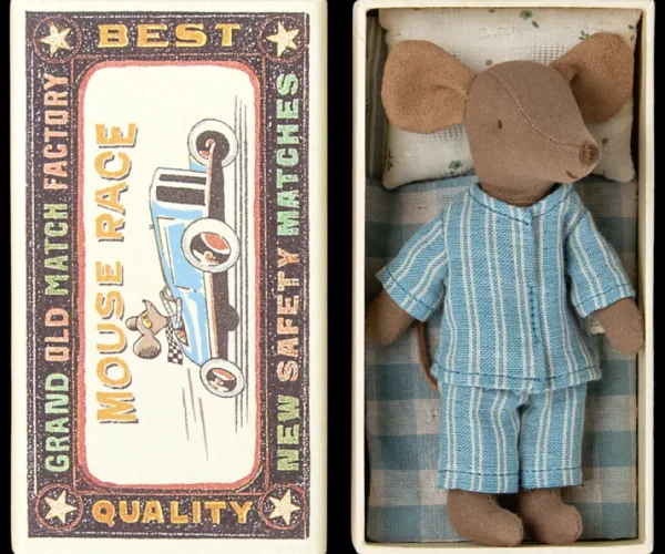 Big Brother Mouse in Box - PJ's