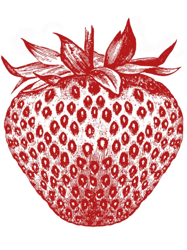 Calliope Tee - Strawberry