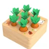 Carrots Harvest Shape Size Sorting