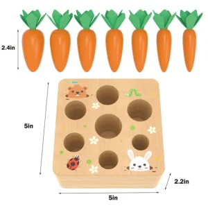 Carrots Harvest Shape Size Sorting