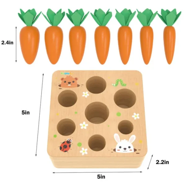 Carrots Harvest Shape Size Sorting