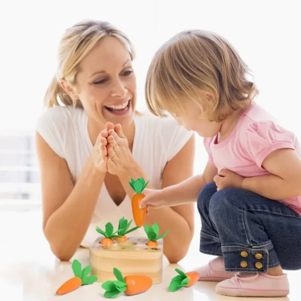 Carrots Harvest Shape Size Sorting