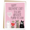 Cat Purrrfection Valentine's Day Card