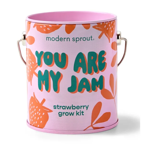Colors Grow Kits - Strawberry