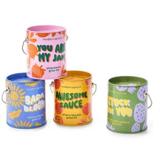 Colors Grow Kits - Strawberry