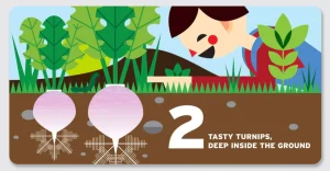 Counting in the Garden