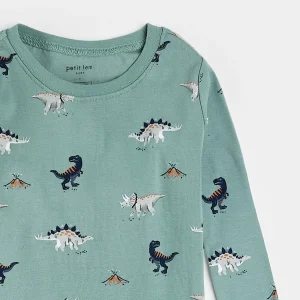 Dinosaur Print on Tidal Wave PJ Set