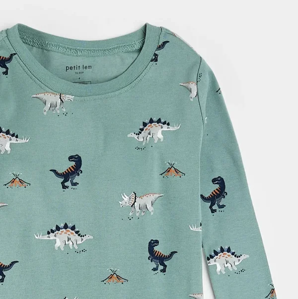 Dinosaur Print on Tidal Wave PJ Set