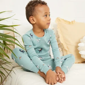 Dinosaur Print on Tidal Wave PJ Set