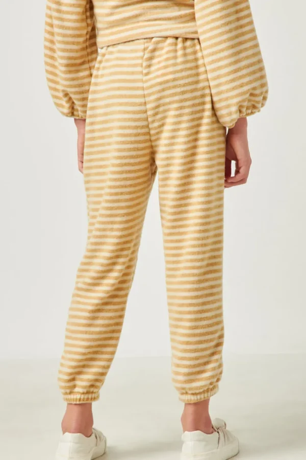 Drawstring Waist Brushed Striped Jogger