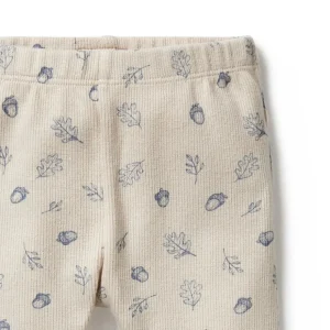 Falling Oak Organic Legging