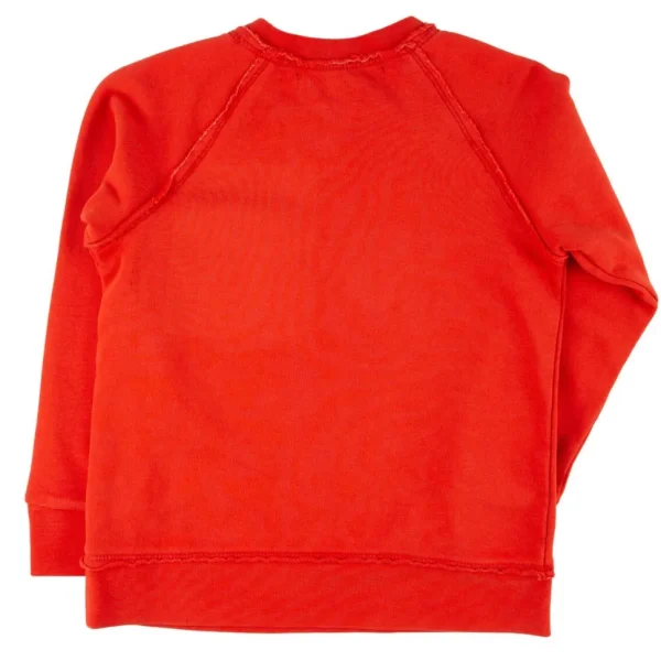 Iggy Pullover Rainbow Handball