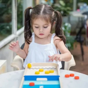 2-In-1 Shuffleboard Game