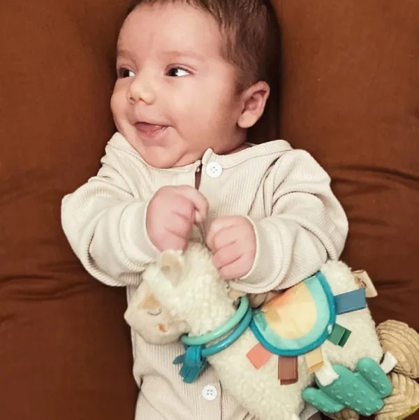 Itzy Friends Link & Love™ Activity Plush with Teether Toy - Llama