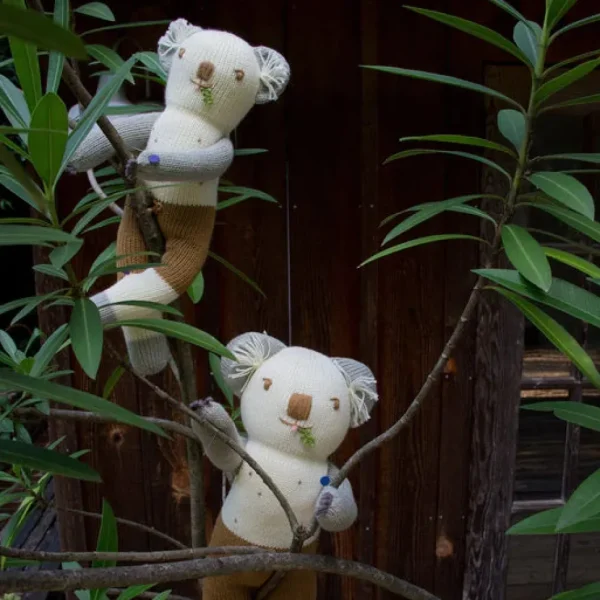Koa the Koala