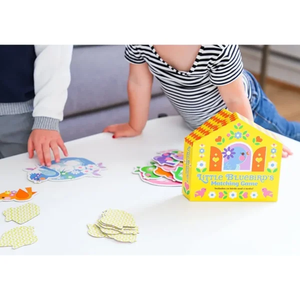 Little Bluebird's Matching Game