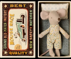 Little Brother Mouse in Matchbox