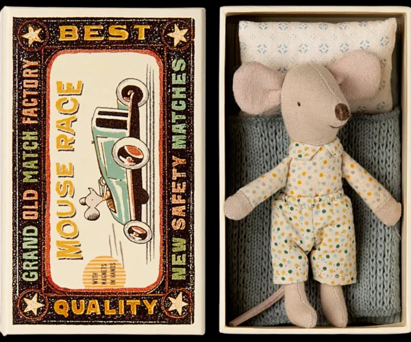 Little Brother Mouse in Matchbox