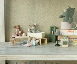 Little Brother Mouse in Matchbox