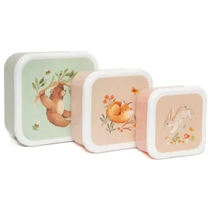 Lunchbox Set Bear and His Friends