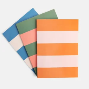 Multi Stripe Set of 3 Notebooks