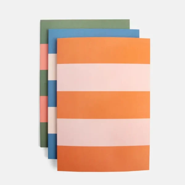 Multi Stripe Set of 3 Notebooks
