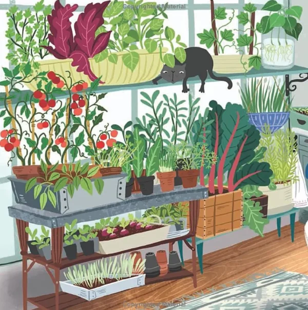 My First Book of Growing Food - Board Book