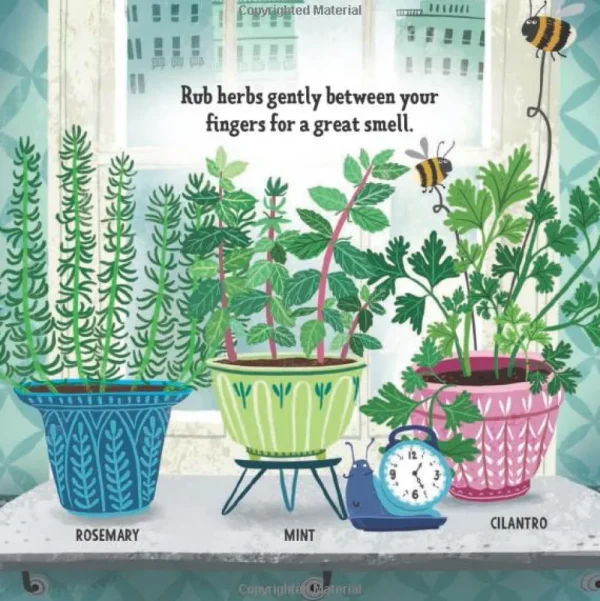 My First Book of Growing Food - Board Book