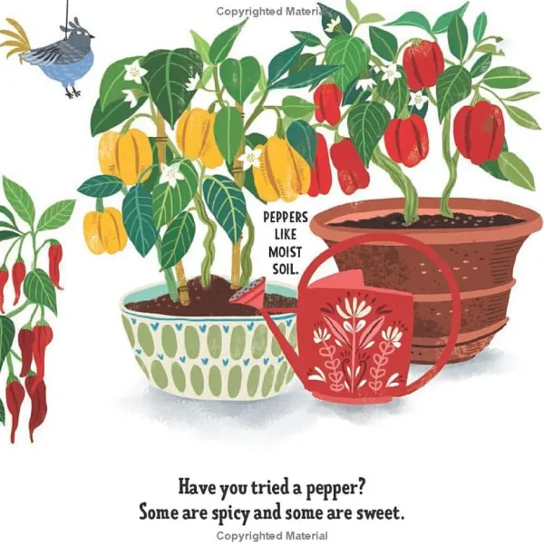 My First Book of Growing Food - Board Book