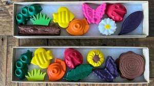 Nature Bugs Crayon Gift Set