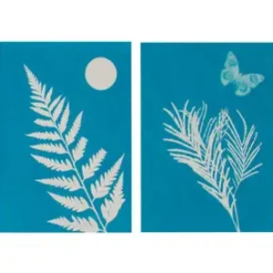 Outdoor Discovery Solar Print Kit