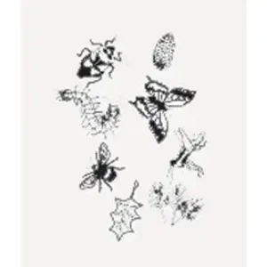 Outdoor Discovery Solar Print Kit