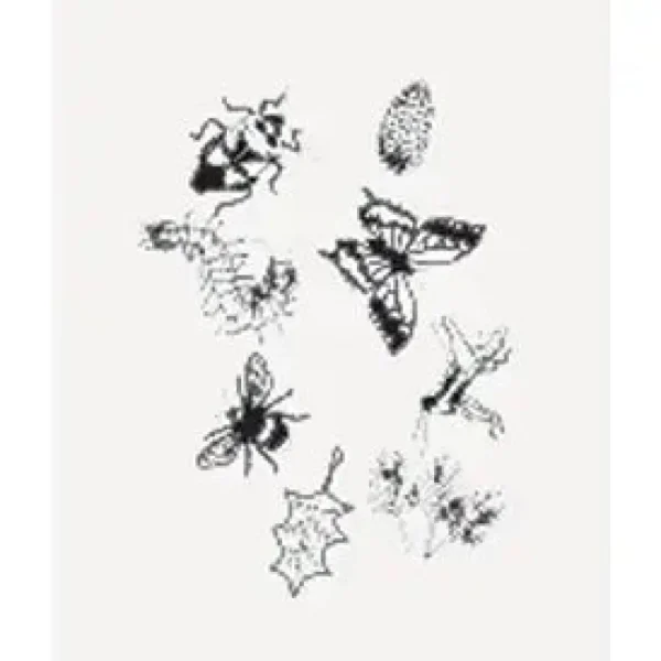 Outdoor Discovery Solar Print Kit