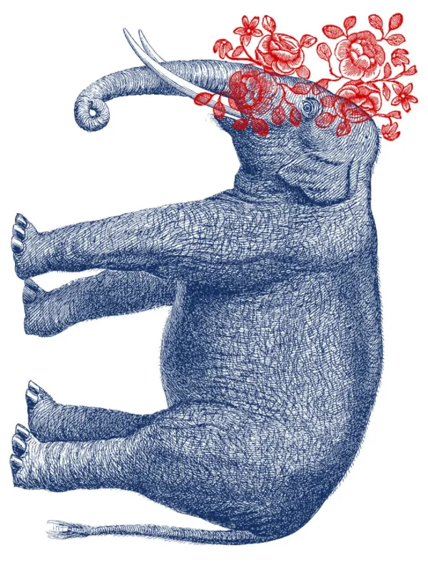 Pia Pullover - Elephant