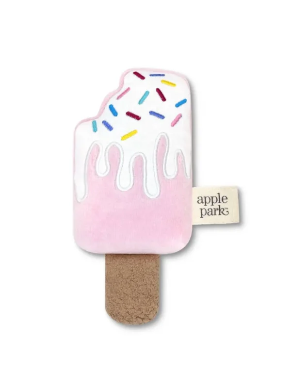 Popsicle Rattle