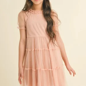 Puff Sleeve Tiered Mesh Dress