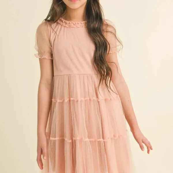 Puff Sleeve Tiered Mesh Dress