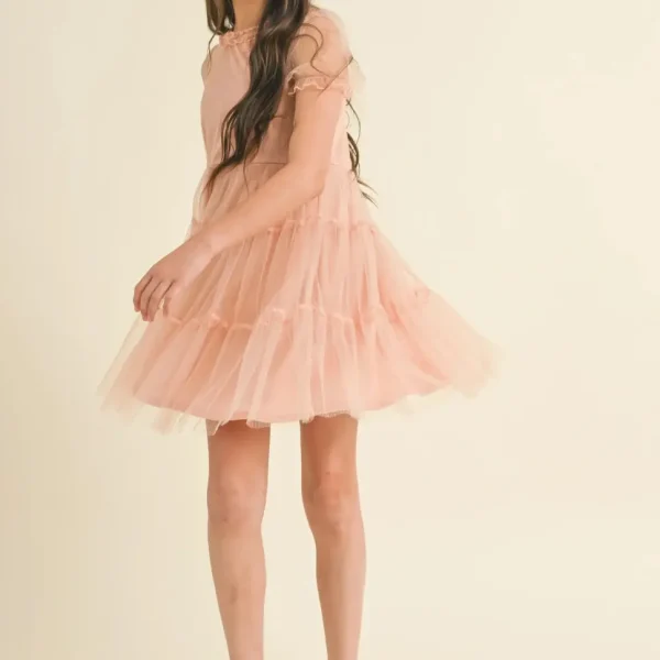 Puff Sleeve Tiered Mesh Dress