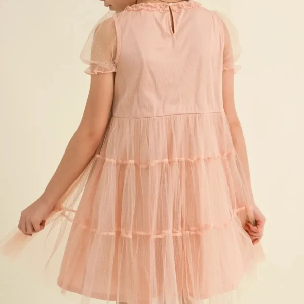 Puff Sleeve Tiered Mesh Dress