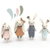 Rabbit Family
