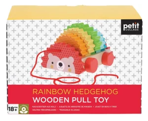 Rainbow Hedgehog Wooden Pull Toy