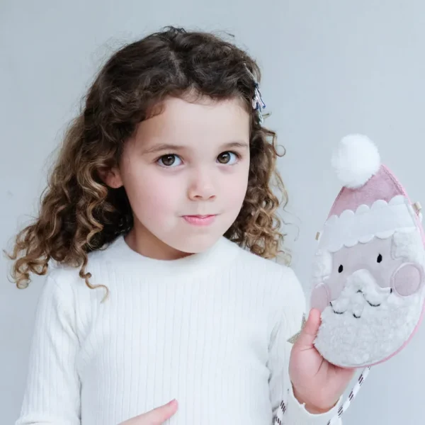 Santa Bag